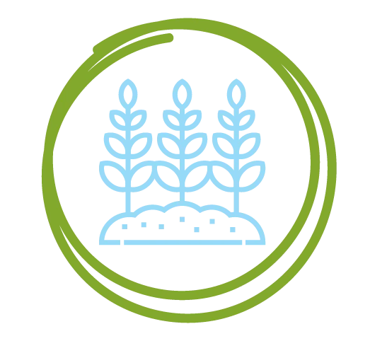 Agriculture icon representing Niagara College KSA's expertise in agricultural innovation